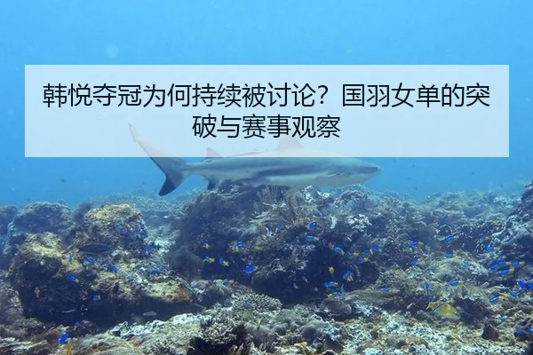 韩悦夺冠为何持续被讨论？国羽女单的突破与赛事观察